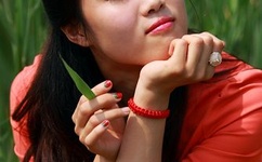 风流夫人免费观看高清电视剧